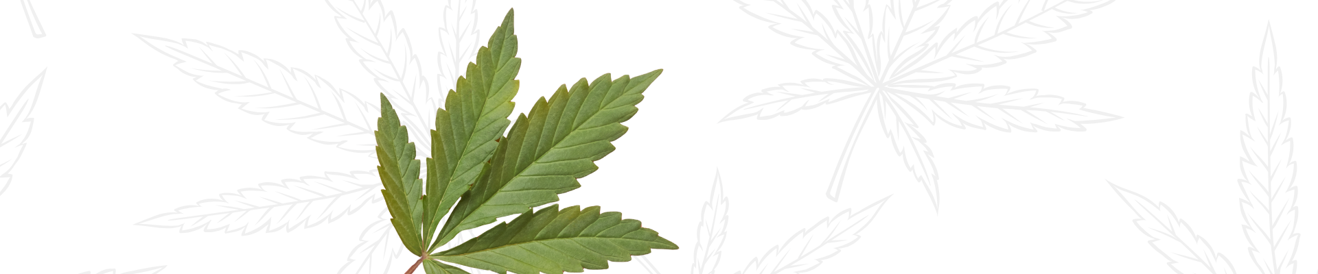 P Smart Cannabis & Gummies